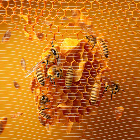 20oz integrate-EJ-10541